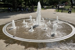 IMG_0690