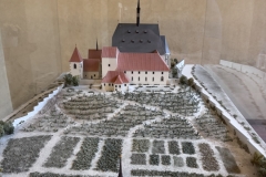 IMG_1872